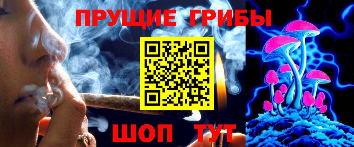 Псилоцибиновые грибы Psilocybine cubensis  Вход с VPN  Галлюциногенные грибы Psilocybine cubensis  Луга 