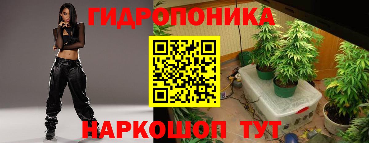 Шишки марихуана гибрид Луга